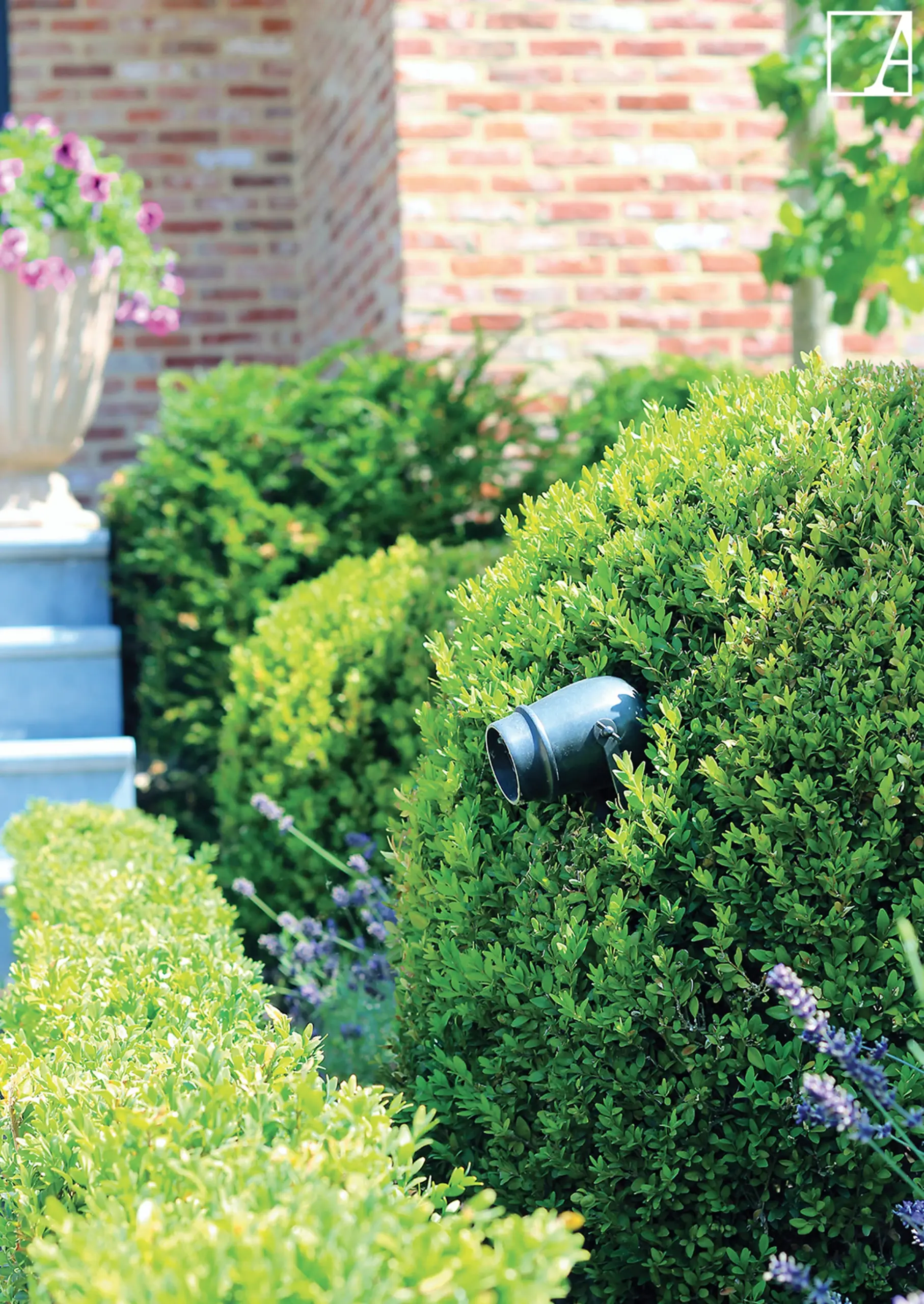 Authentage Gartenspot Micro on Pin zwischen Buchsbaumkugeln im Beet